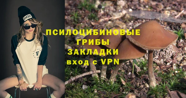 гашик Касимов