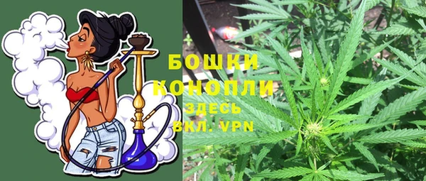 ПСИЛОЦИБИНОВЫЕ ГРИБЫ Карпинск