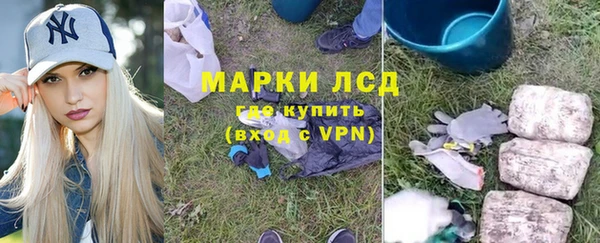 ПСИЛОЦИБИНОВЫЕ ГРИБЫ Карпинск