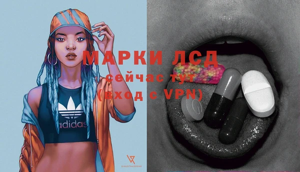 ПСИЛОЦИБИНОВЫЕ ГРИБЫ Карпинск