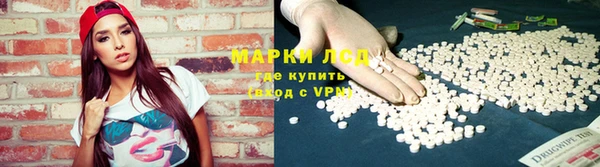 ПСИЛОЦИБИНОВЫЕ ГРИБЫ Карпинск
